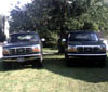 1996 Ford Bronco - Two 1996 Ford Broncos are parked on a lawn, facing the camera.