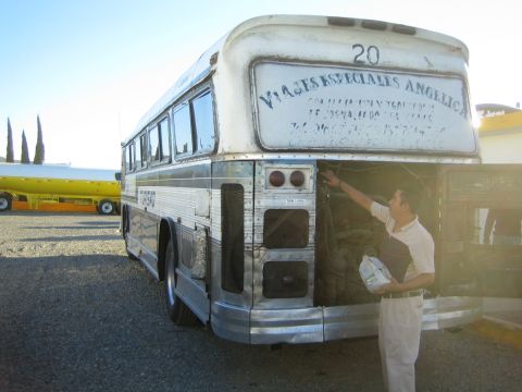 1990 Ford Bronco - I tagged this Bus!
