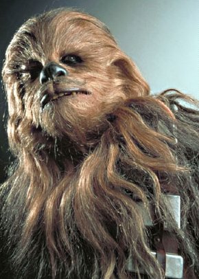 1991 Ford Bronco - A close-up portrait of Chewbacca, the Wookiee co-pilot.
