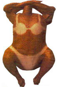 1995 Ford Bronco - This cooked chicken appears to have tan lines from wearing a bikini.