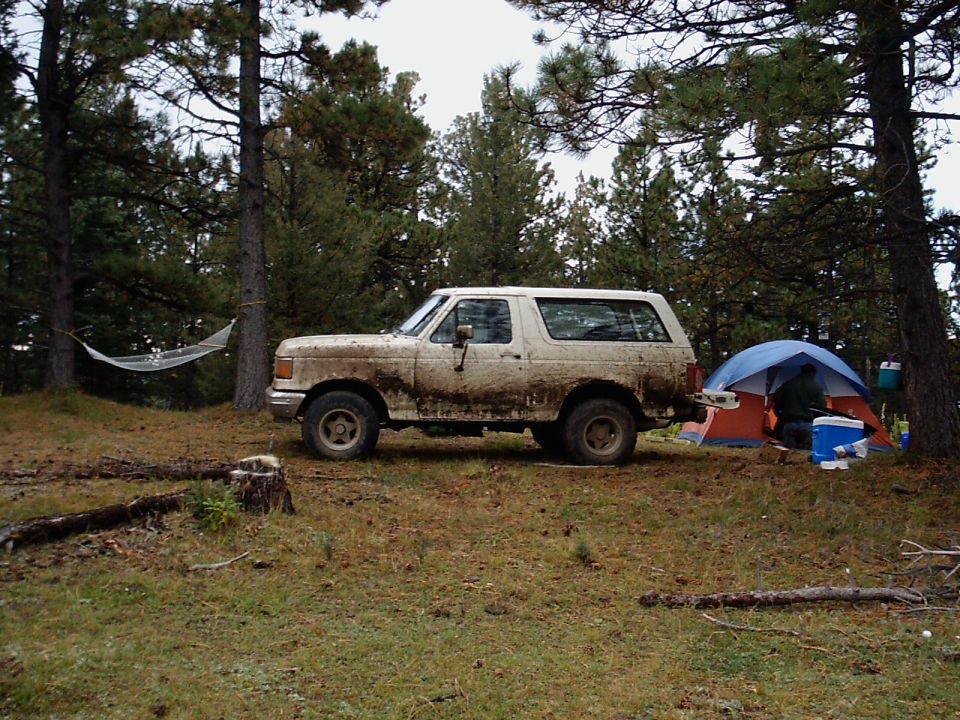 1991 Ford Bronco “Whitey”