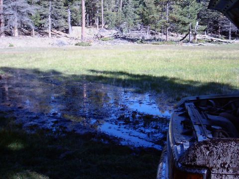 1991 Ford Bronco - I found out the hard way all that nice grass is covered by a foot or more of water and lots of gooey muck.
