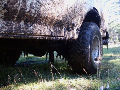 1991 Ford Bronco - Looked like it came from the swamp after I finally removed it. Notice the usual rust on the fenders.