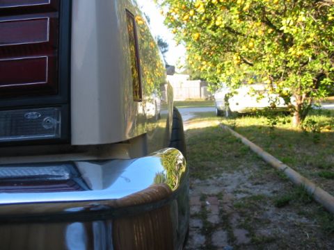 1985 Ford LTD Crown Victoria - A close-up view of the rear of a car, with a lemon tree and another vehicle visible in the background.