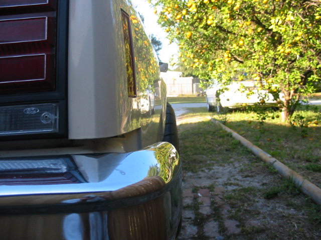 Rear quarter panel and bumper of a car with a lemon tree and another car in the background