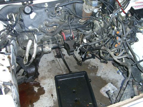 1996 Ford Probe - Engine bay with exposed engine components and wiring, showing a messy and disassembled state. An oil pan is placed underneath.