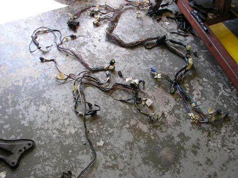 1996 Ford Probe - Multiple vehicle wiring harnesses are laid out on a worn concrete surface, possibly for repair or replacement.