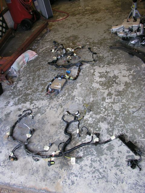 1996 Ford Probe - Engine wiring harness components spread out on a garage floor.