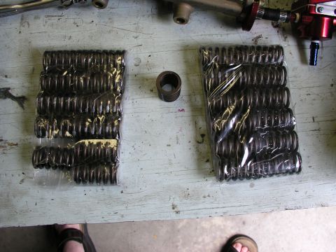 1996 Ford Probe - New valve springs are laid out on a workbench, ready for installation into an engine.