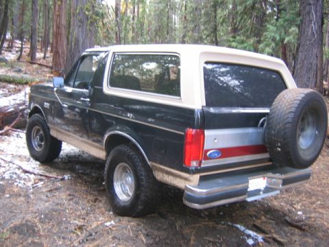 1990 Ford Bronco - Just startin out.