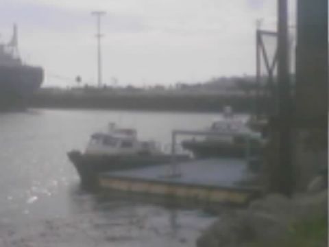 1990 Ford Bronco - Small white boats are moored along a harbor dock with a large vessel and breakwater in the background.