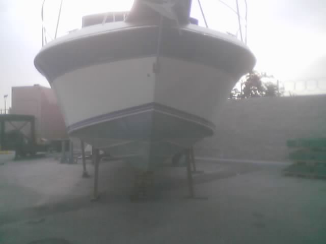 Front view of a white boat with blue trim, resting on metal stands