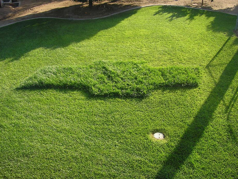 Grass lawn mowed into shape of a Chevrolet bowtie emblem viewed from above