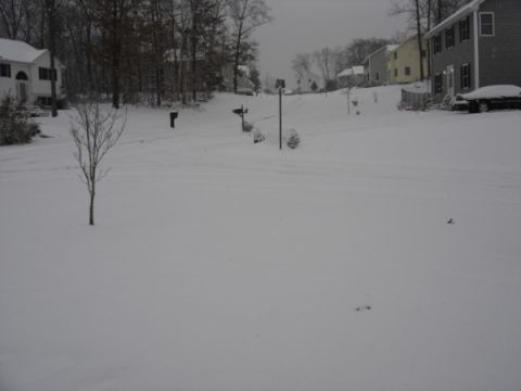 1999 Ford Taurus - A dark sedan is parked in front of a house, partially covered by snow, on a cloudy winter day.