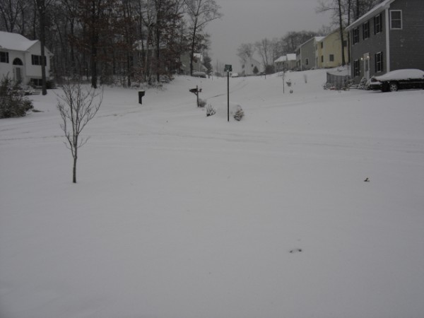 Dark sedan covered in snow parked in front of a house on a snowy day