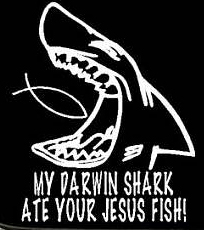 1989 Ford Bronco - Darwin Shark