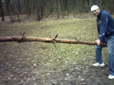 1995 Ford Probe - A man carries a large log through a wooded area with fallen leaves on the ground.