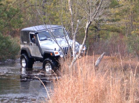 1986 Ford F-250 - A silver Jeep Wrangler navigates through a muddy, watery terrain surrounded by dry vegetation and trees.