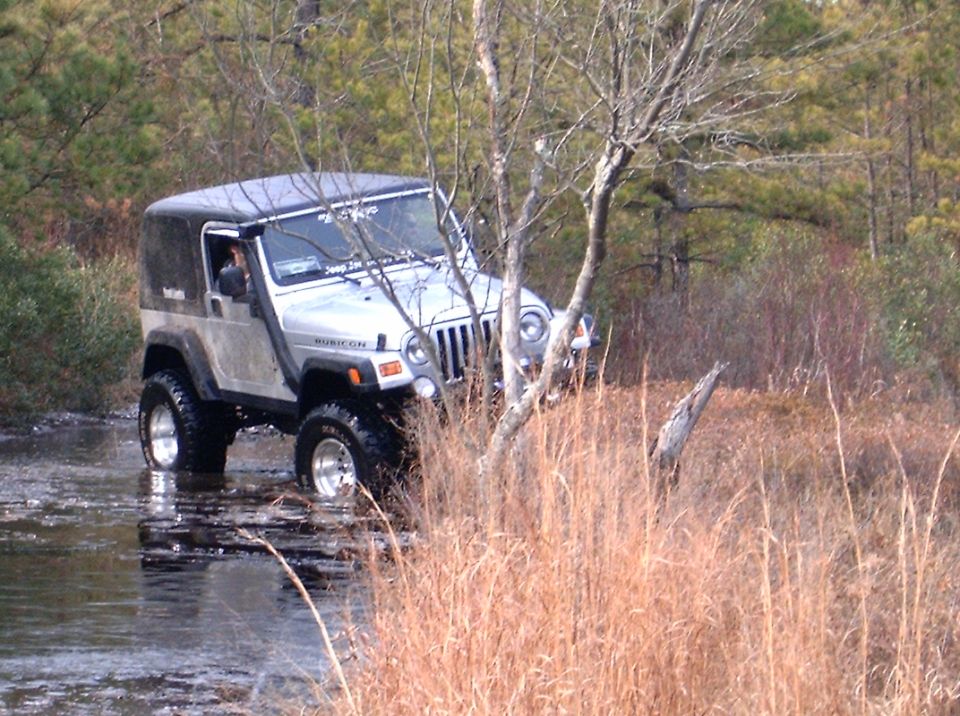 Silver Jeep Wrangler with a black soft top driving through shallow water, tall dry grass and trees in the background