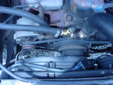 1983 Ford Bronco - Close-up view of engine components including the fan and alternator.