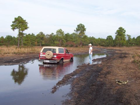 1989 Ford Bronco - A red 1989 Ford Bronco is stuck in a large mud puddle, with a person observing the situation.
