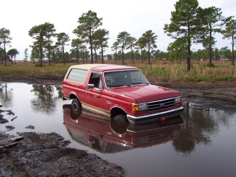 1989 Ford Bronco - A red Ford Bronco from the late 1980s is stuck in a large muddy puddle surrounded by trees.