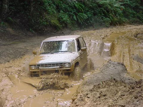 1987 Ford Bronco II - toby's ranger at play