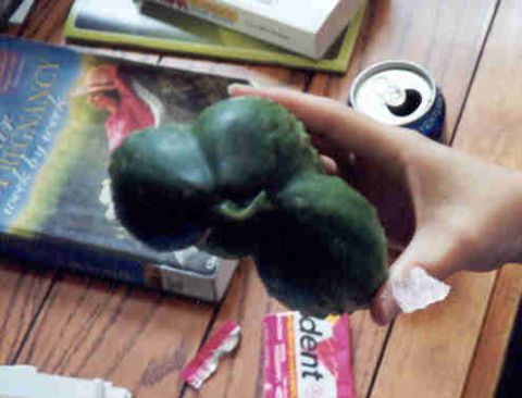 1989 Ford Bronco - A hand holds two green peppers above a book and a soda can on a wooden table.