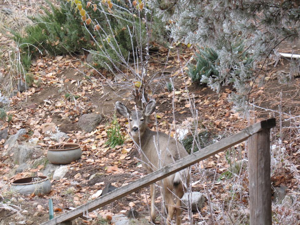 Lunch off the front porch.