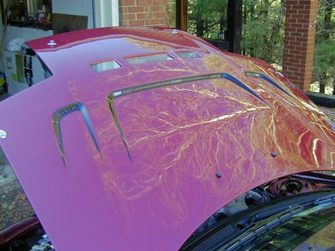 1994 Ford Probe - Customized car hood with vents and air intakes, showing reflections of the surroundings.
