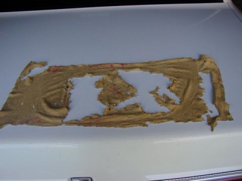 1994 Ford Probe - The paint on this car's hood is severely damaged and peeling away.