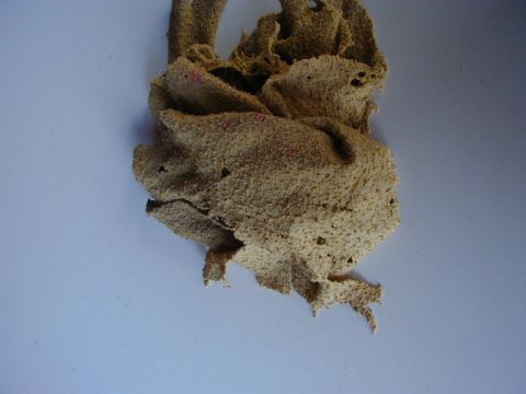 1994 Ford Probe - A damaged, beige car part with visible pink markings is shown against a plain background.