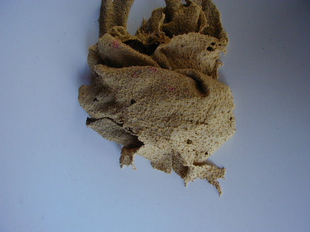 Torn, beige car part with pink specks against a light blue background