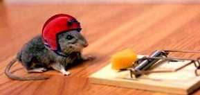 1989 Ford Bronco - A mouse wearing a red helmet appears to be contemplating a mousetrap baited with cheese.