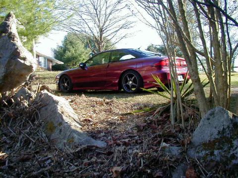 1994 Ford Probe - A red 1994 Ford Probe is parked in a natural outdoor setting, partially obscured by trees and rocks.