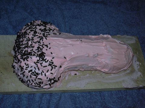 1997 Ford Probe - The famous penis cake
