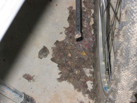 1985 Ford F-350 - Debris accumulation on a concrete surface near a wheel, with a Supermotors.net watermark.
