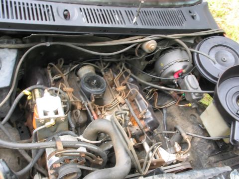1985 Ford F-350 - The engine bay of a vehicle, showing various mechanical parts and wiring.