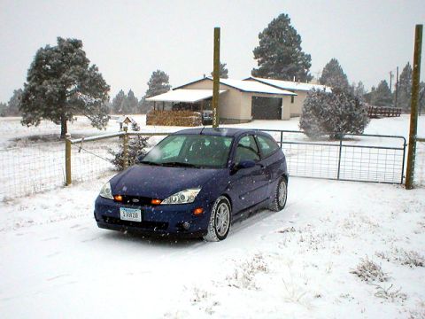 2004 Ford Focus - And, here they are doing their duty in the snow.