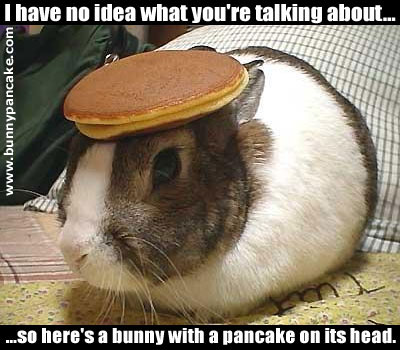 1994 Ford Bronco - An internet meme image showing a brown and white rabbit sitting indoors with a pancake balanced on its head, captioned in white text above…