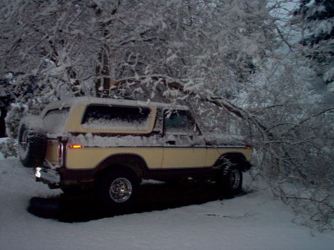 1979 Ford Bronco - A two-tone tan and brown Ford Bronco is parked in a snowy landscape, partially obscured by snow-covered branches.
