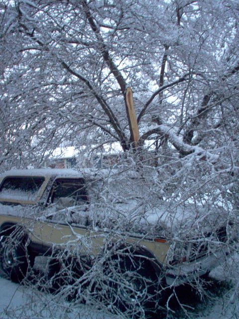 1979 Ford Bronco - Ford Bronco stuck in snow after a winter storm.