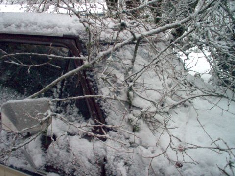 1979 Ford Bronco - A maroon vehicle is partially obscured by snow and tree branches during winter.