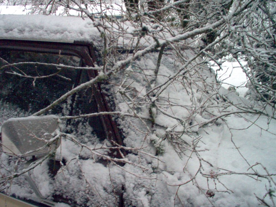 Snow-covered truck windshield and side mirror with a bare branch resting on the glass