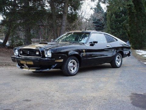 1978 Ford Mustang II - 1978 Ford Mustang II coupe, black with gold racing stripes, seen outdoors.