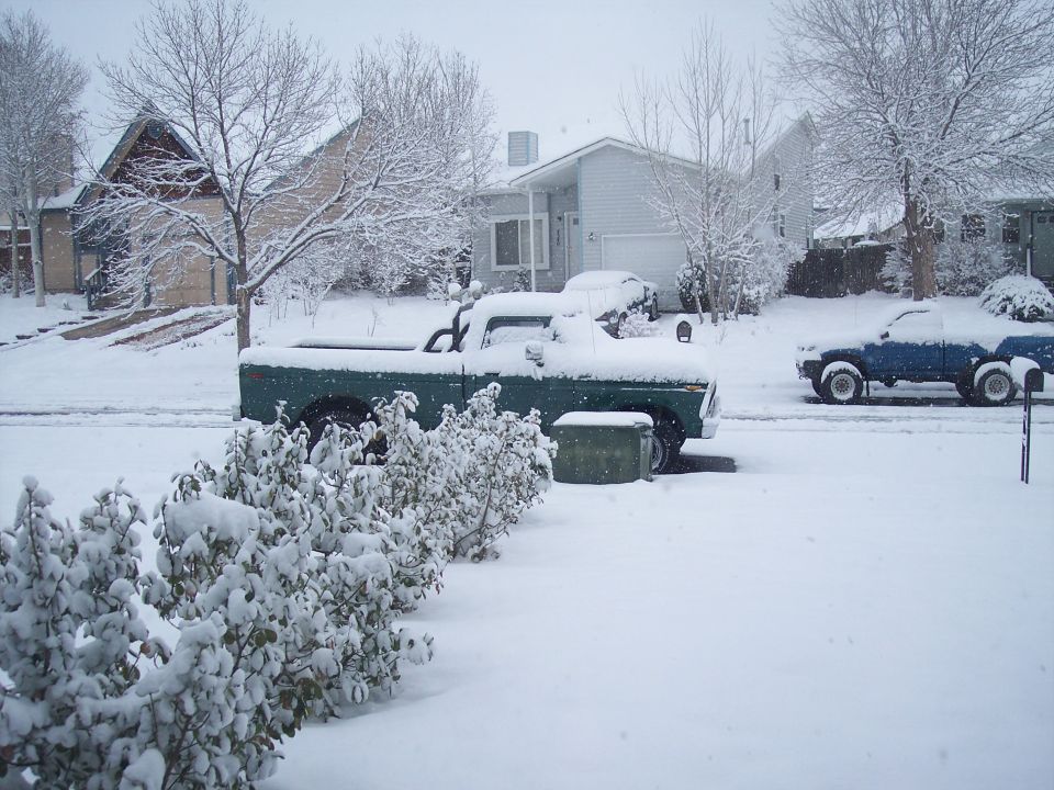 Green pickup truck and blue pickup truck parked on a snowy street