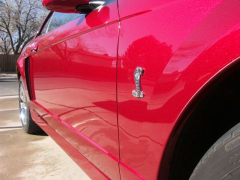 1979 Ford Bronco - Close-up of a red car's fender showing a cobra emblem and side vent.