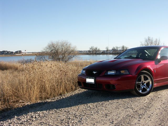 Red coupe with horse emblem, parked by a lake