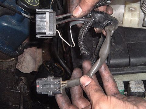 1994 Ford Thunderbird - here is the early (89-93) alt wiring harness.