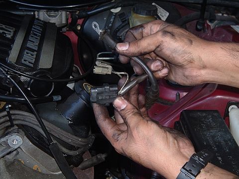 1994 Ford Thunderbird - here is the 94 alt wiring harness, notice the difference.